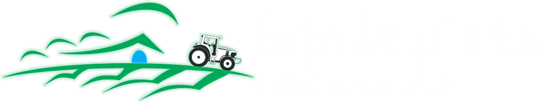 Logo Borjes Maquinarias